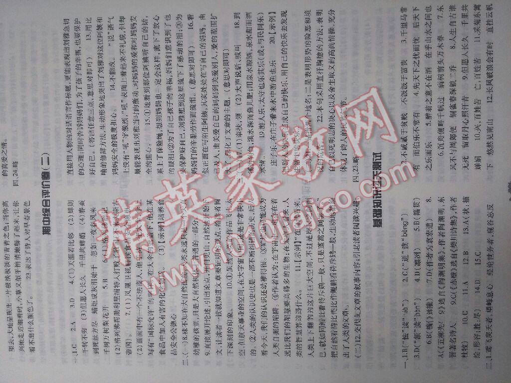 2016年基礎(chǔ)訓(xùn)練八年級語文下冊人教版河南省內(nèi)使用 第68頁