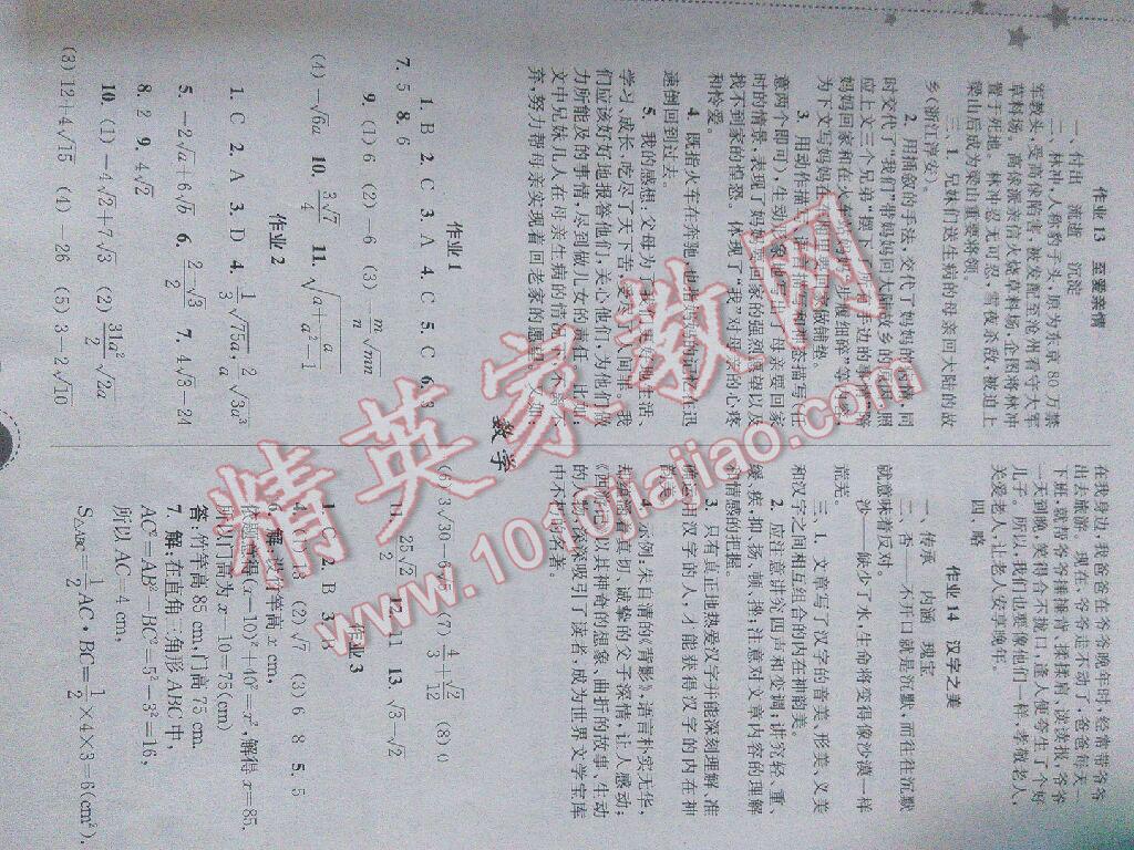 2015年快乐暑假八年级东南大学出版社 第36页