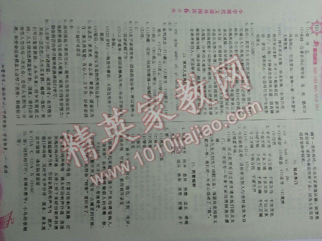 2016年新黑马阅读现代文课外阅读小学六年级语文 第18页