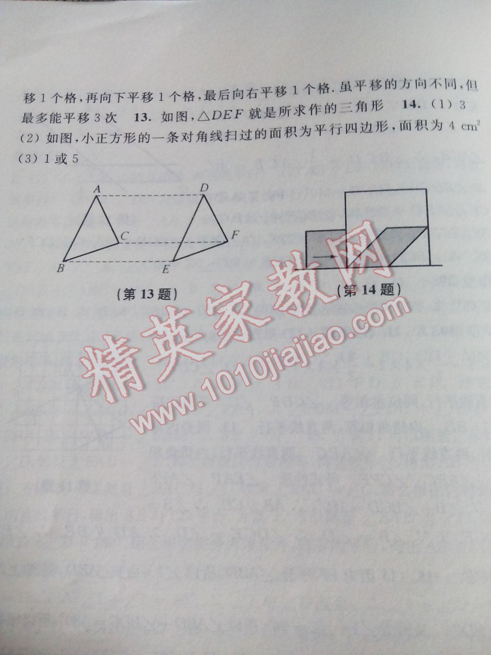 2015年数学暑假作业七年级沪科版 第43页