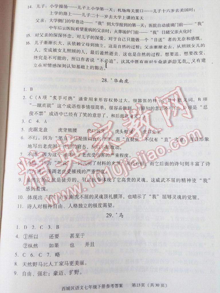 2016年学习探究诊断七年级语文下册 第52页