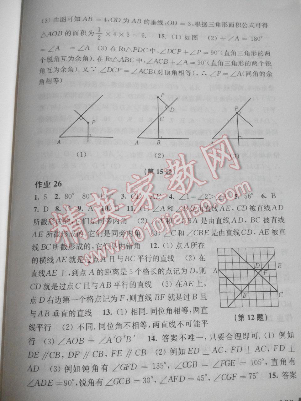 2015年数学暑假作业七年级沪科版 第40页