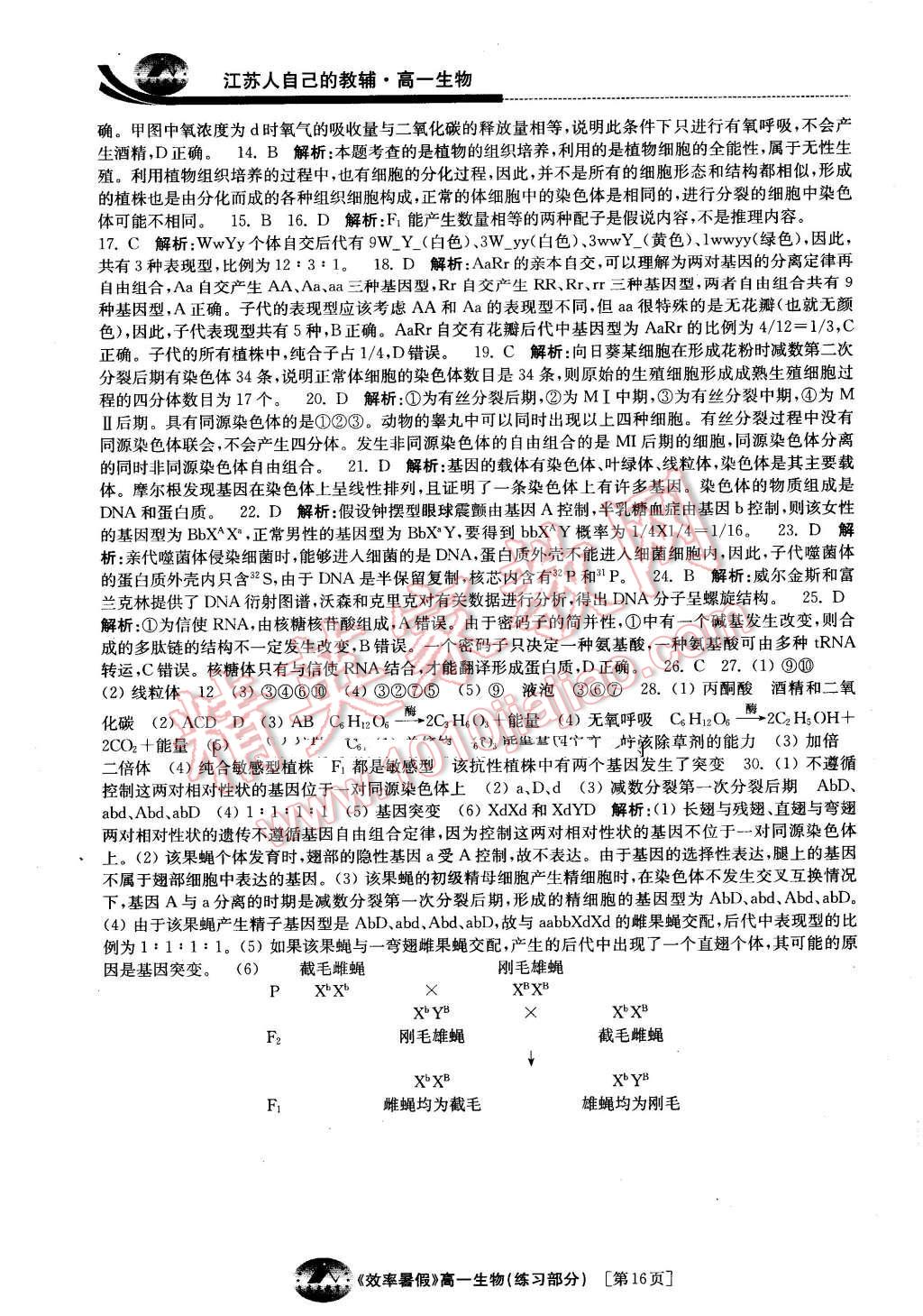 2016年效率暑假高一生物 第16页