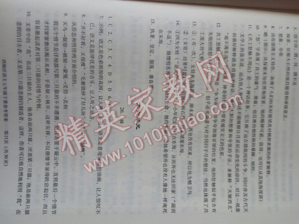 2016年學(xué)習(xí)探究診斷七年級(jí)語(yǔ)文下冊(cè) 第51頁(yè)