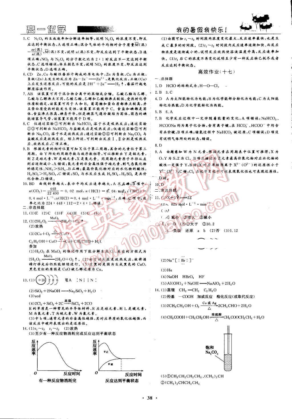 2016年暑假高效作業(yè)高一化學(xué) 第10頁