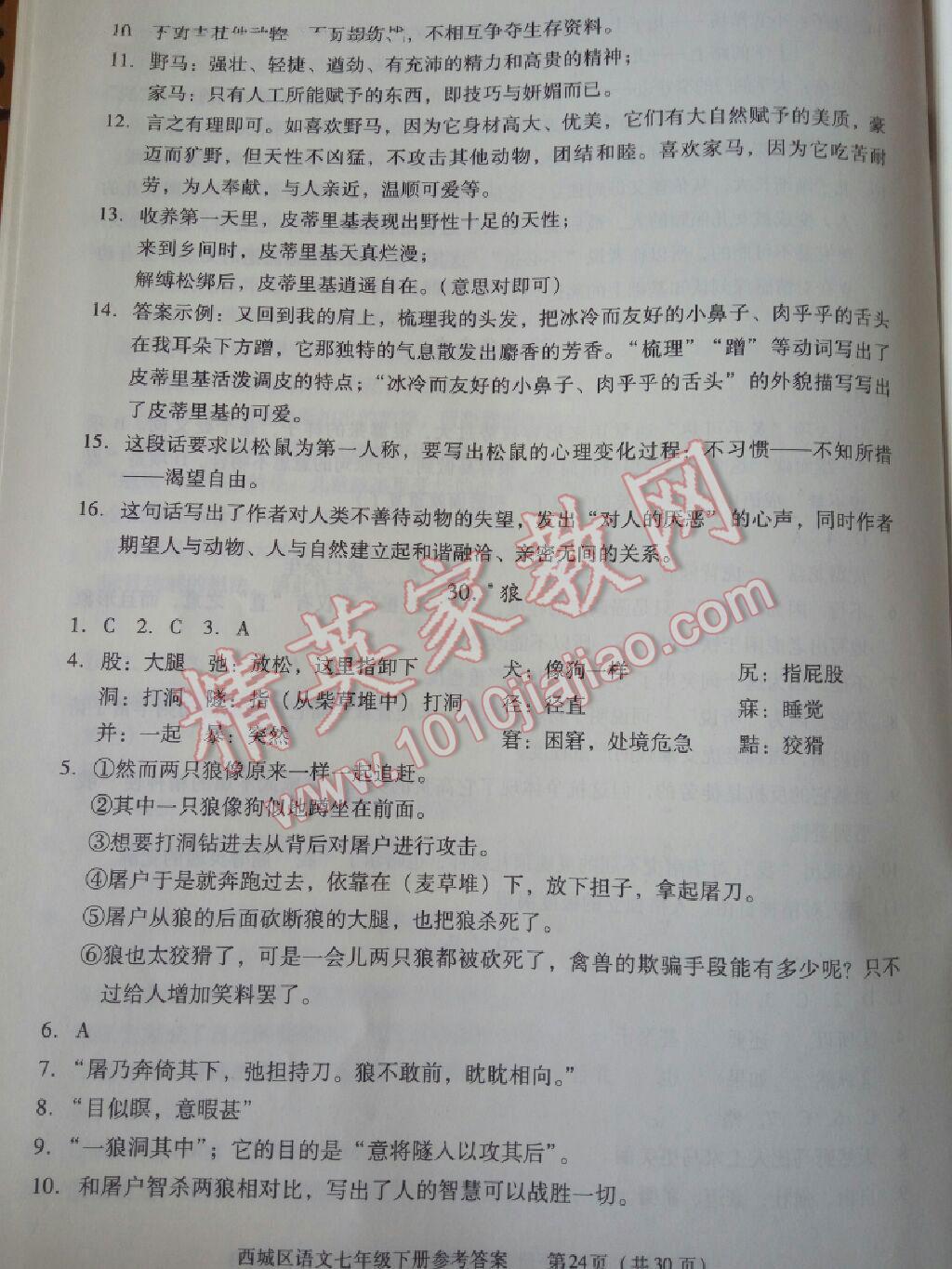 2016年学习探究诊断七年级语文下册 第53页