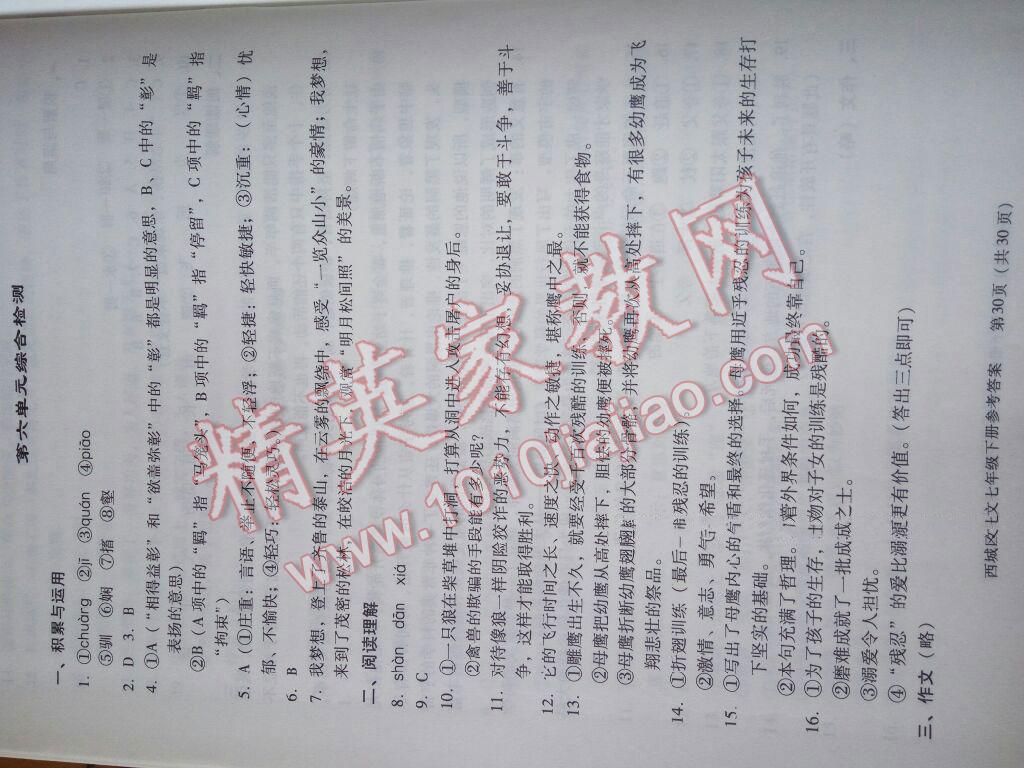 2016年學(xué)習(xí)探究診斷七年級語文下冊 第60頁