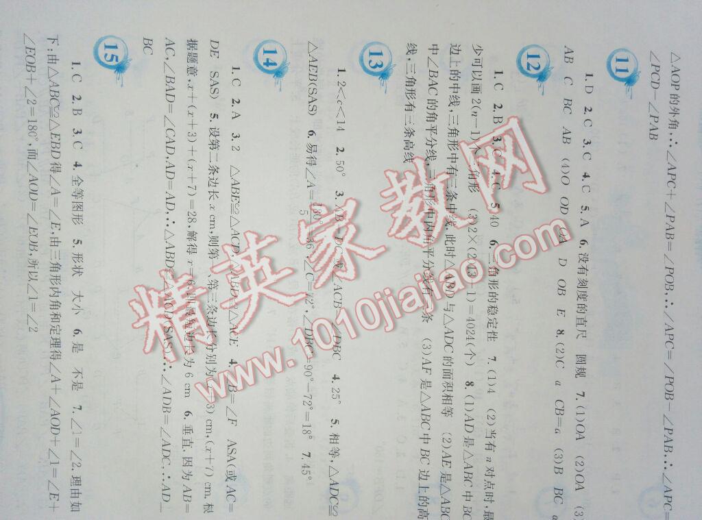 2015年暑假作业七年级数学北师大版安徽教育出版社 第29页