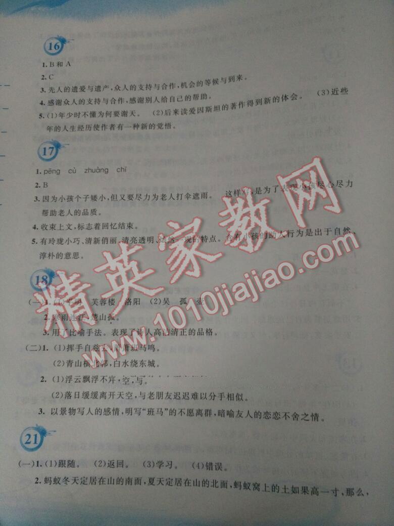 2016年暑假作業(yè)七年級(jí)語(yǔ)文人教版安徽教育出版社 第37頁(yè)