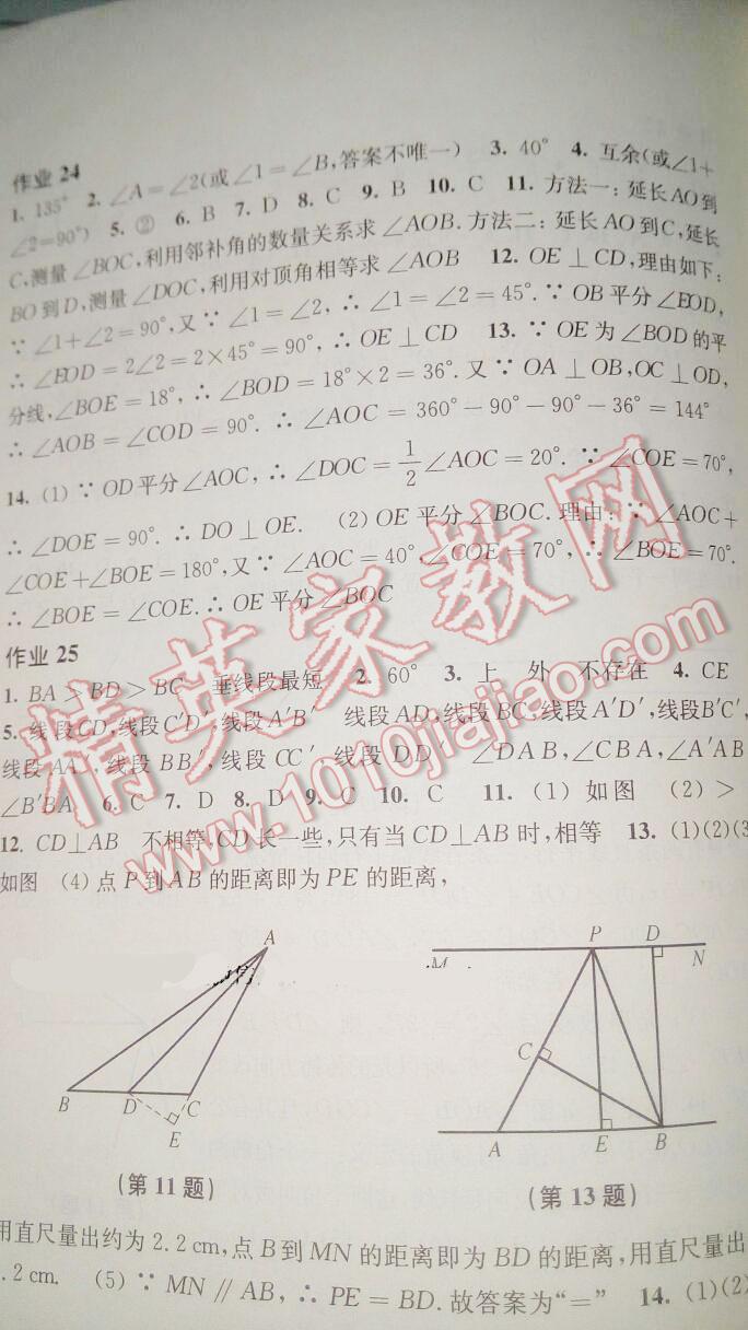 2015年数学暑假作业七年级沪科版上海科学技术出版社 第51页