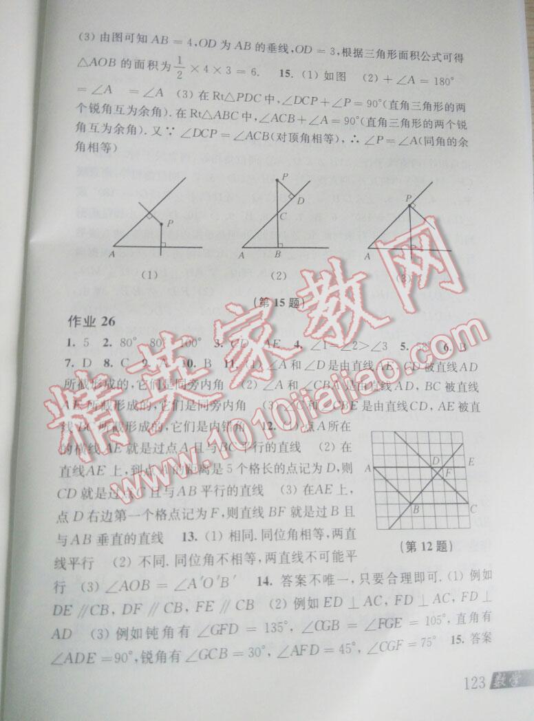 2015年数学暑假作业七年级沪科版 第51页