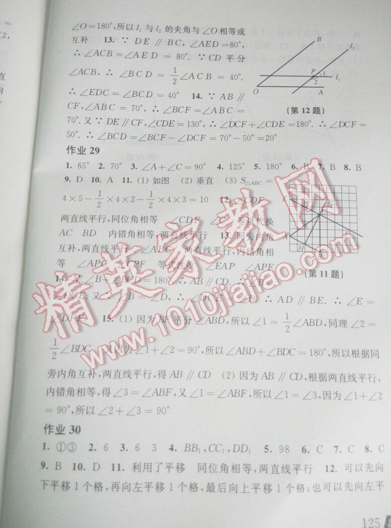 2015年数学暑假作业七年级沪科版 第53页