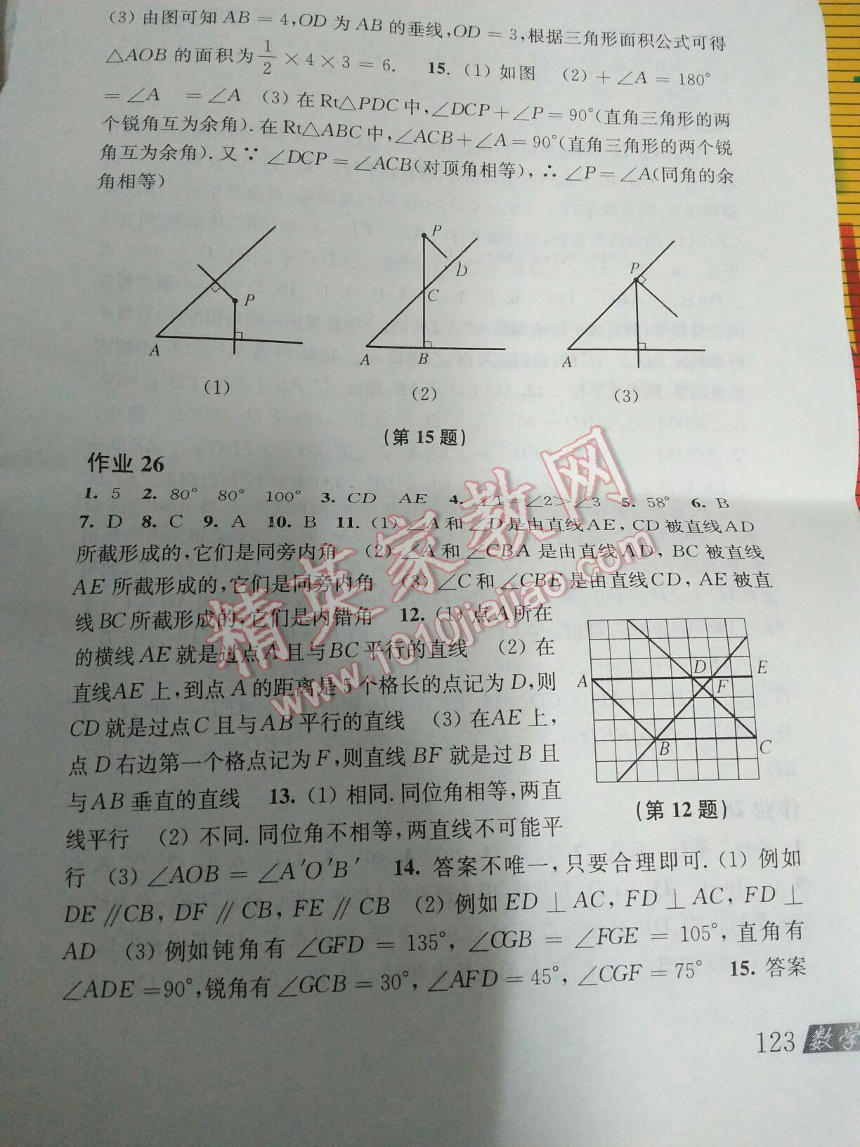 2016年暑假作业七年级英语人教版安徽教育出版社 第114页