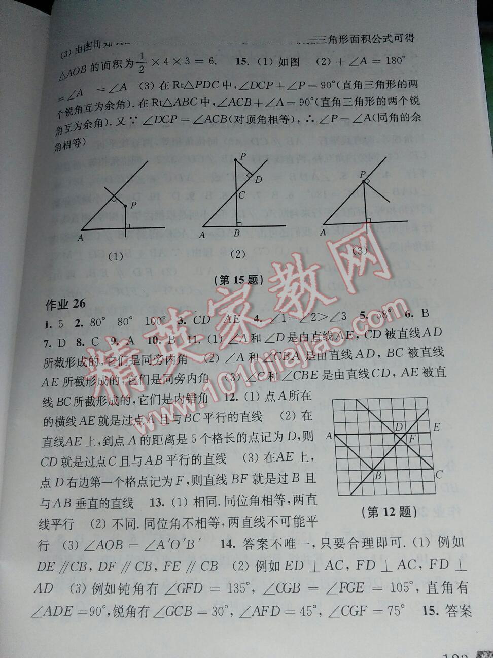 2015年数学暑假作业七年级沪科版 第62页