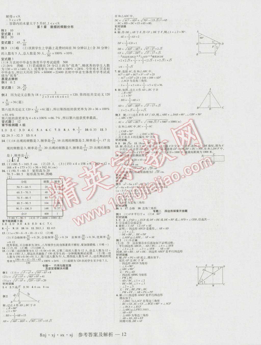 2016年金象教育U計劃學期系統(tǒng)復習暑假作業(yè)八年級數(shù)學湘教版 參考答案第12頁