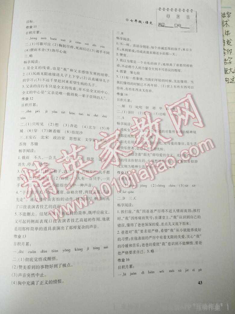 2015年暑假作业七年级语文内蒙古大学出版社 第13页