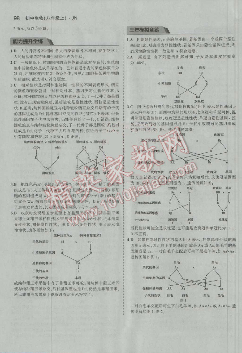 2016年5年中考3年模擬初中生物八年級上冊濟(jì)南版 參考答案第24頁