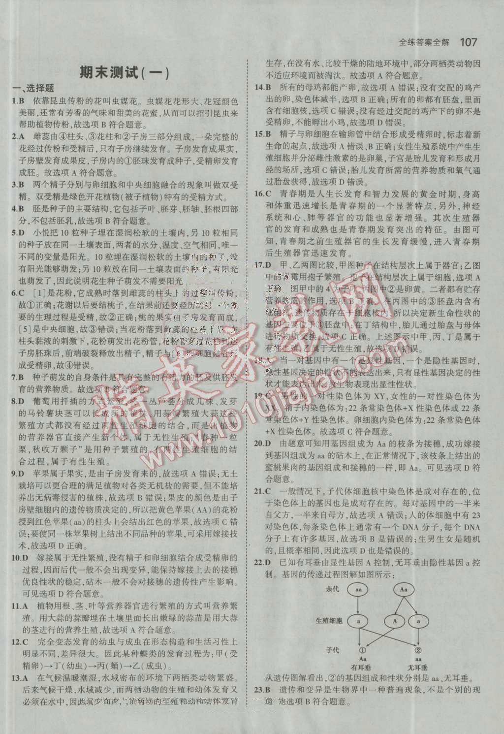 2016年5年中考3年模拟初中生物八年级上册济南版 参考答案第33页