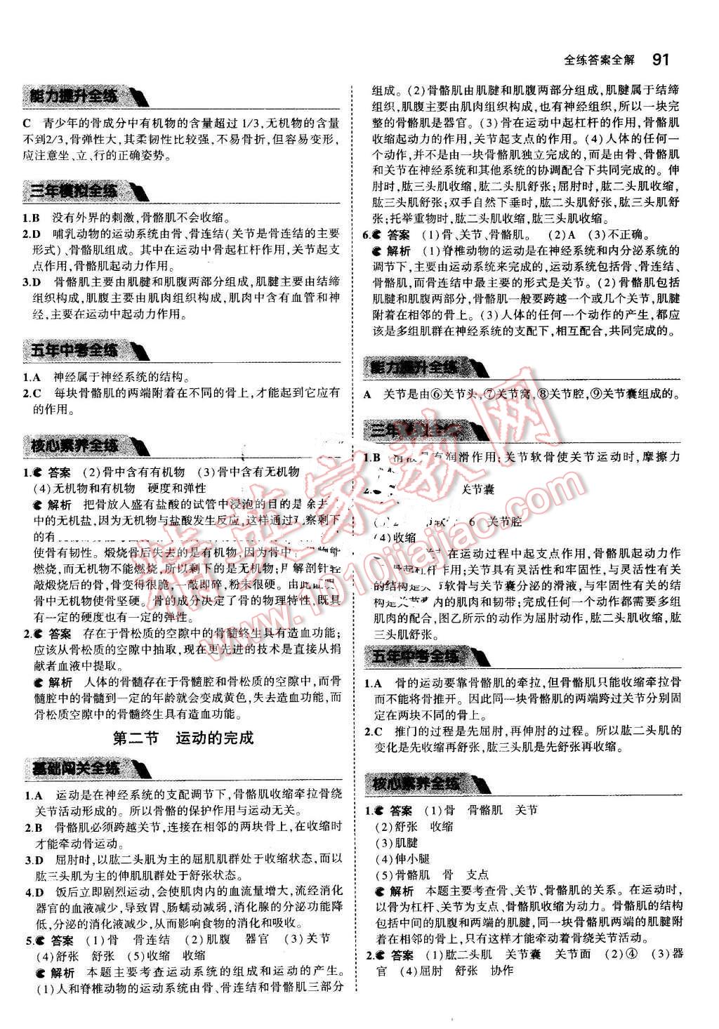 2016年5年中考3年模擬初中生物八年級上冊江蘇版 參考答案第18頁