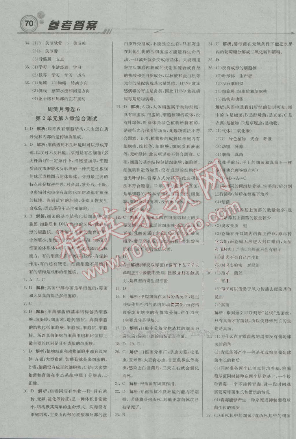 2016年輕巧奪冠周測月考直通中考七年級生物上冊濟(jì)南版 參考答案第22頁