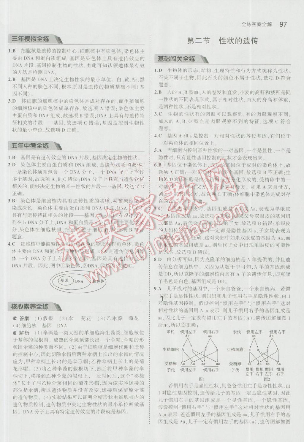 2016年5年中考3年模拟初中生物八年级上册济南版 参考答案第23页