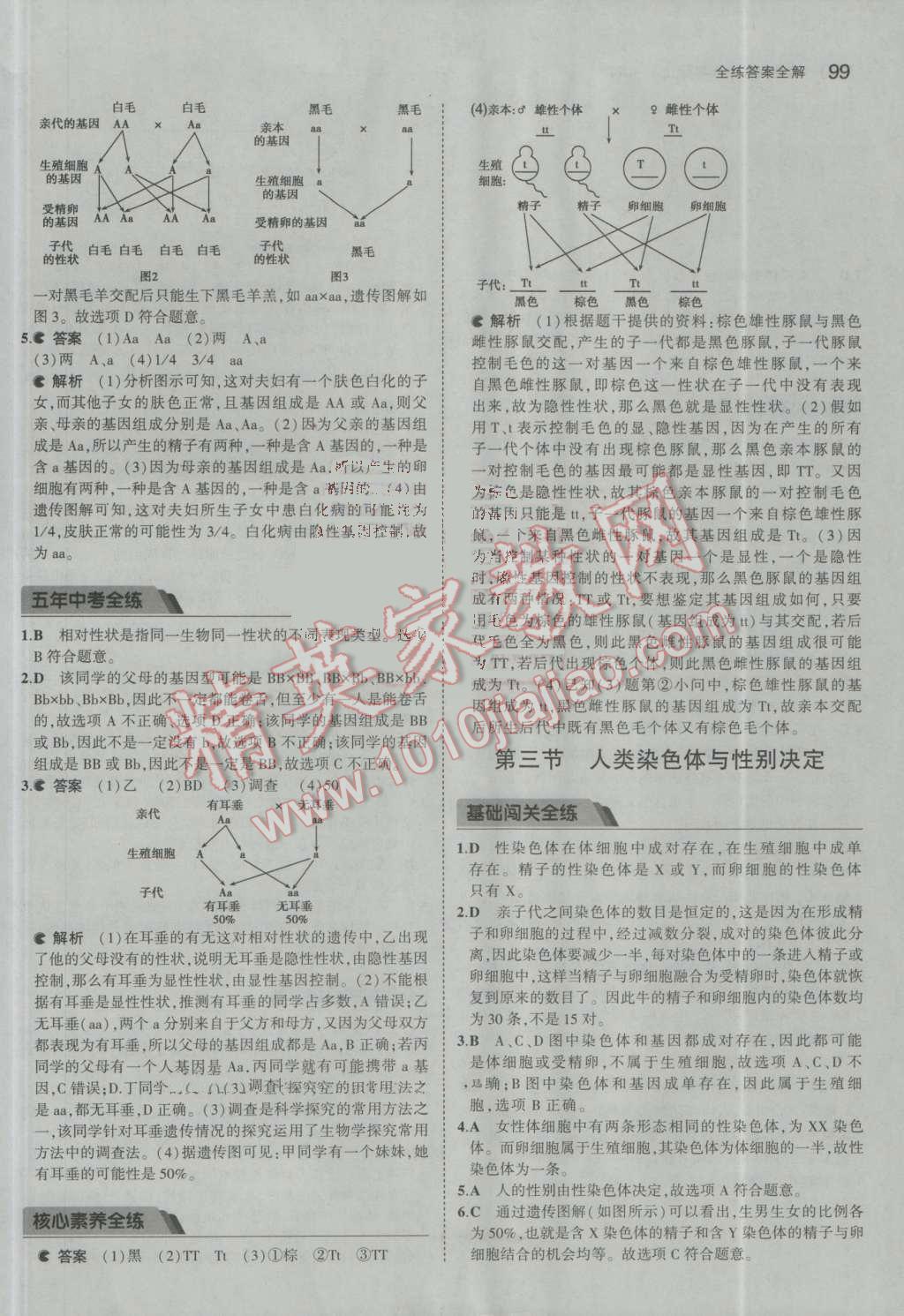 2016年5年中考3年模拟初中生物八年级上册济南版 参考答案第25页