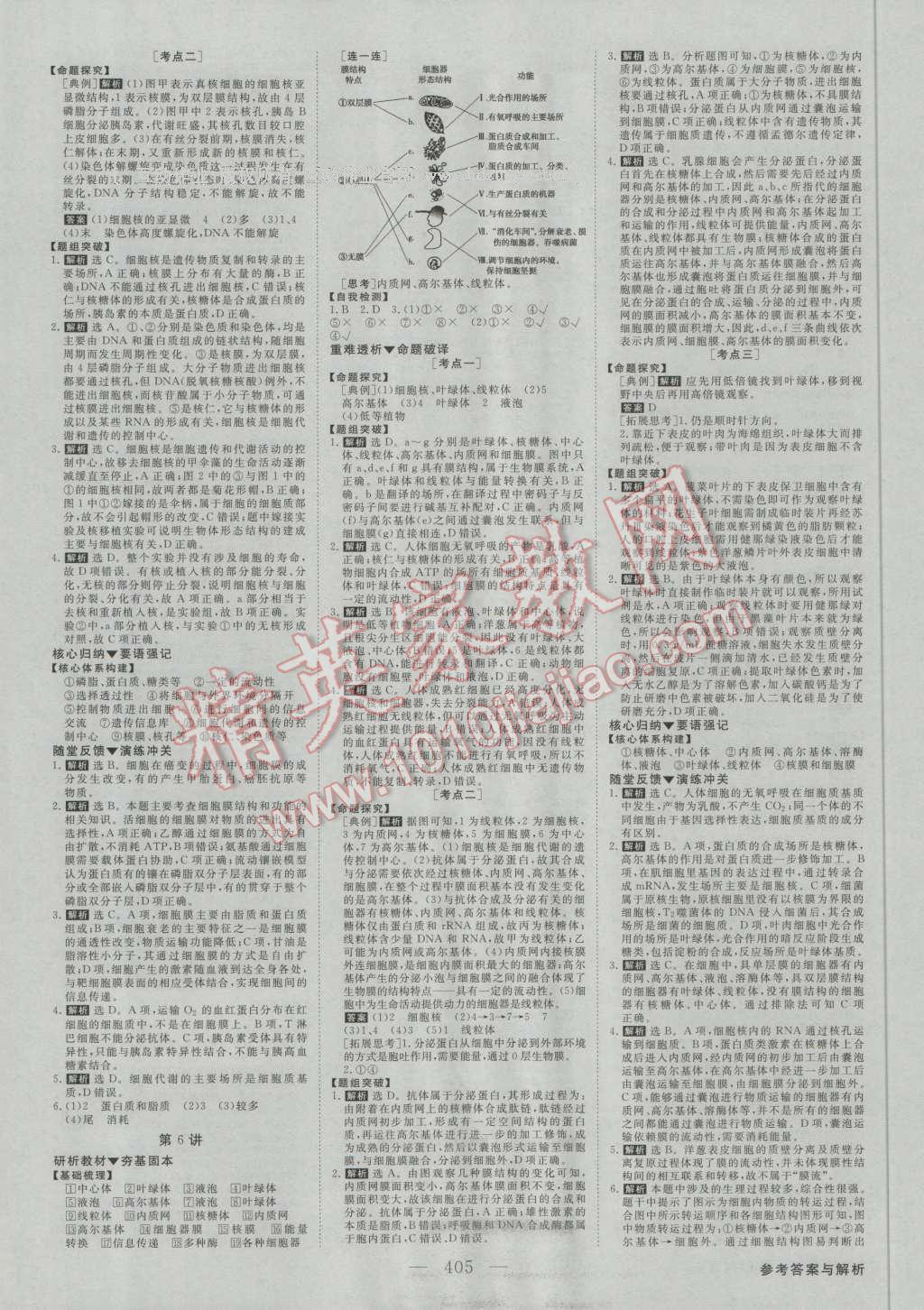 2017年高考总复习优化方案生物新课标 参考答案第4页