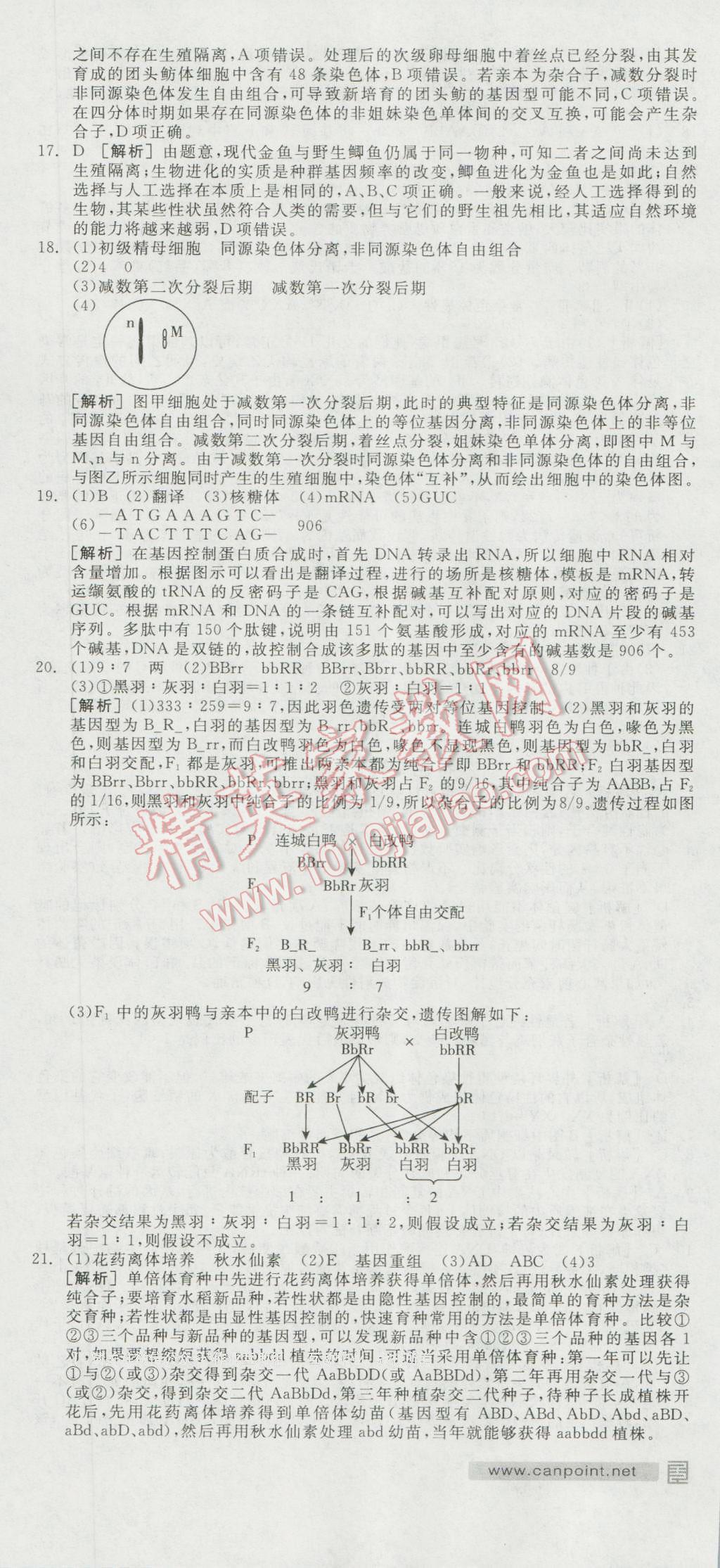 全品學(xué)練考高中生物必修2人教版 測評卷答案第10頁