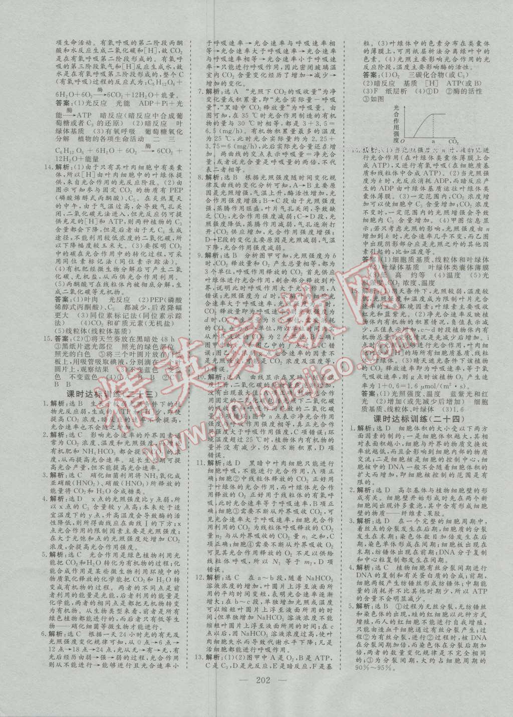 創(chuàng)新方案高中同步創(chuàng)新課堂高中生物必修1人教版 參考答案第24頁