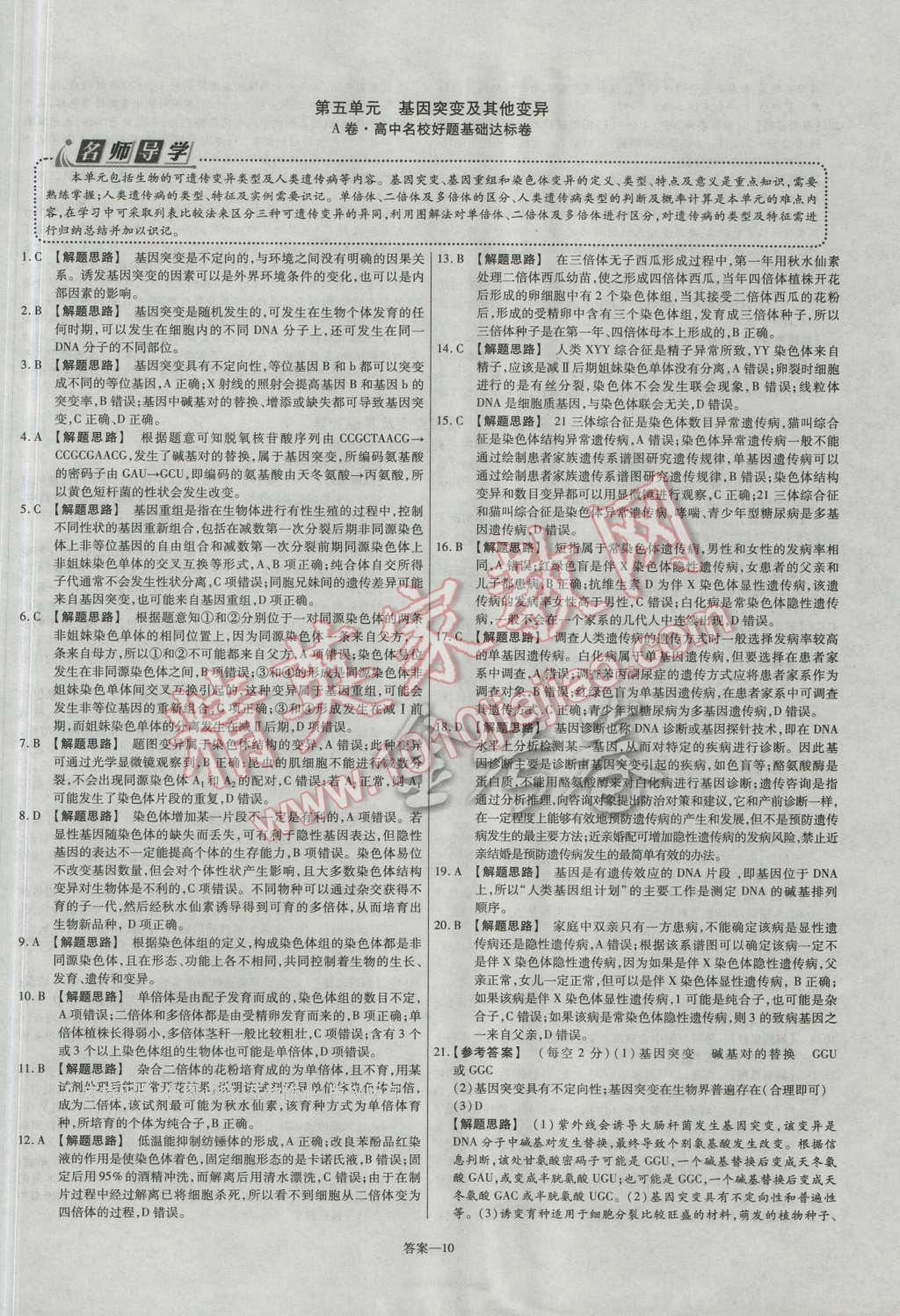 金考卷活頁題選高中生物必修2人教版 參考答案第10頁