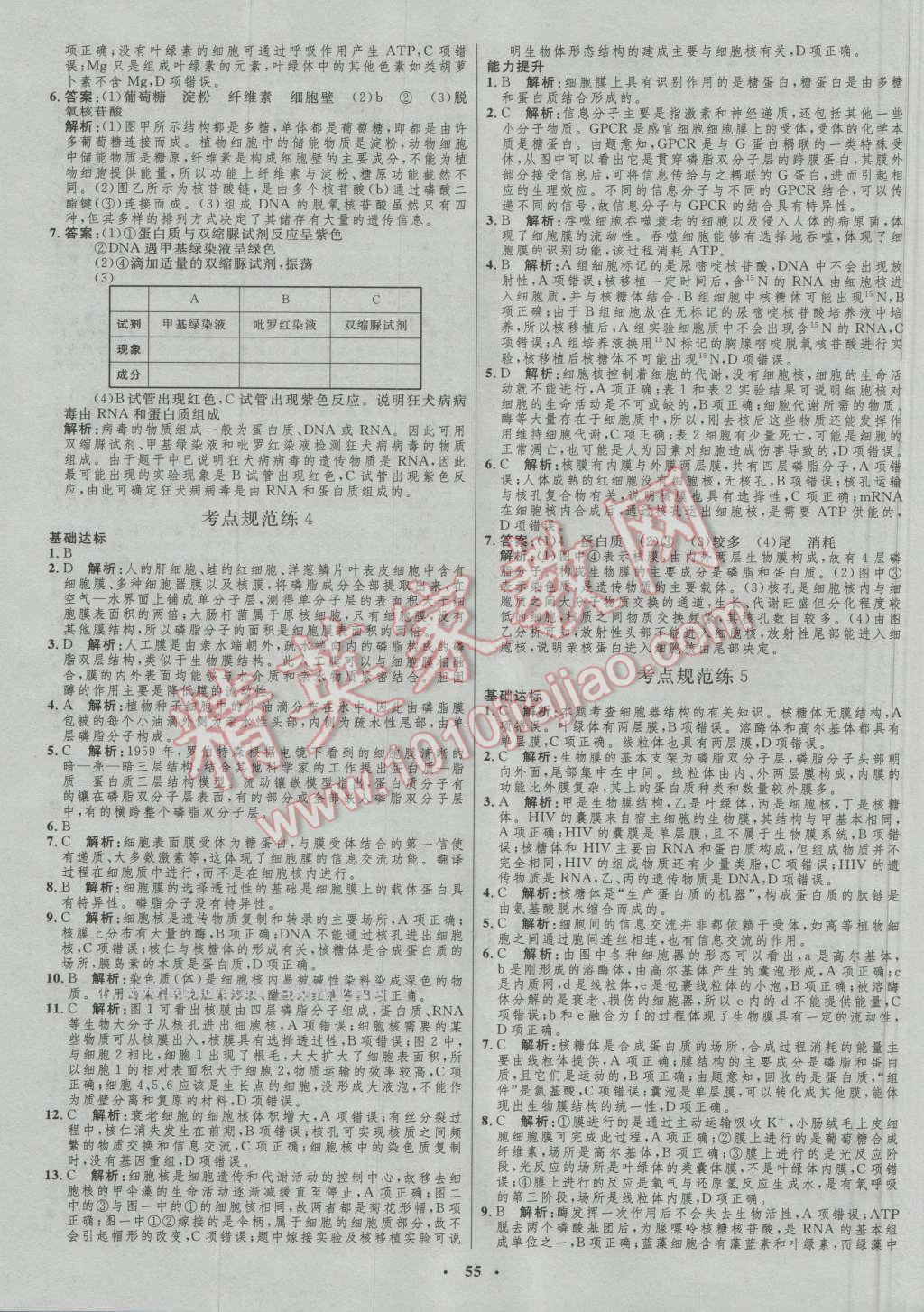 2017年高中總復(fù)習(xí)優(yōu)化設(shè)計生物人教版 參考答案第35頁