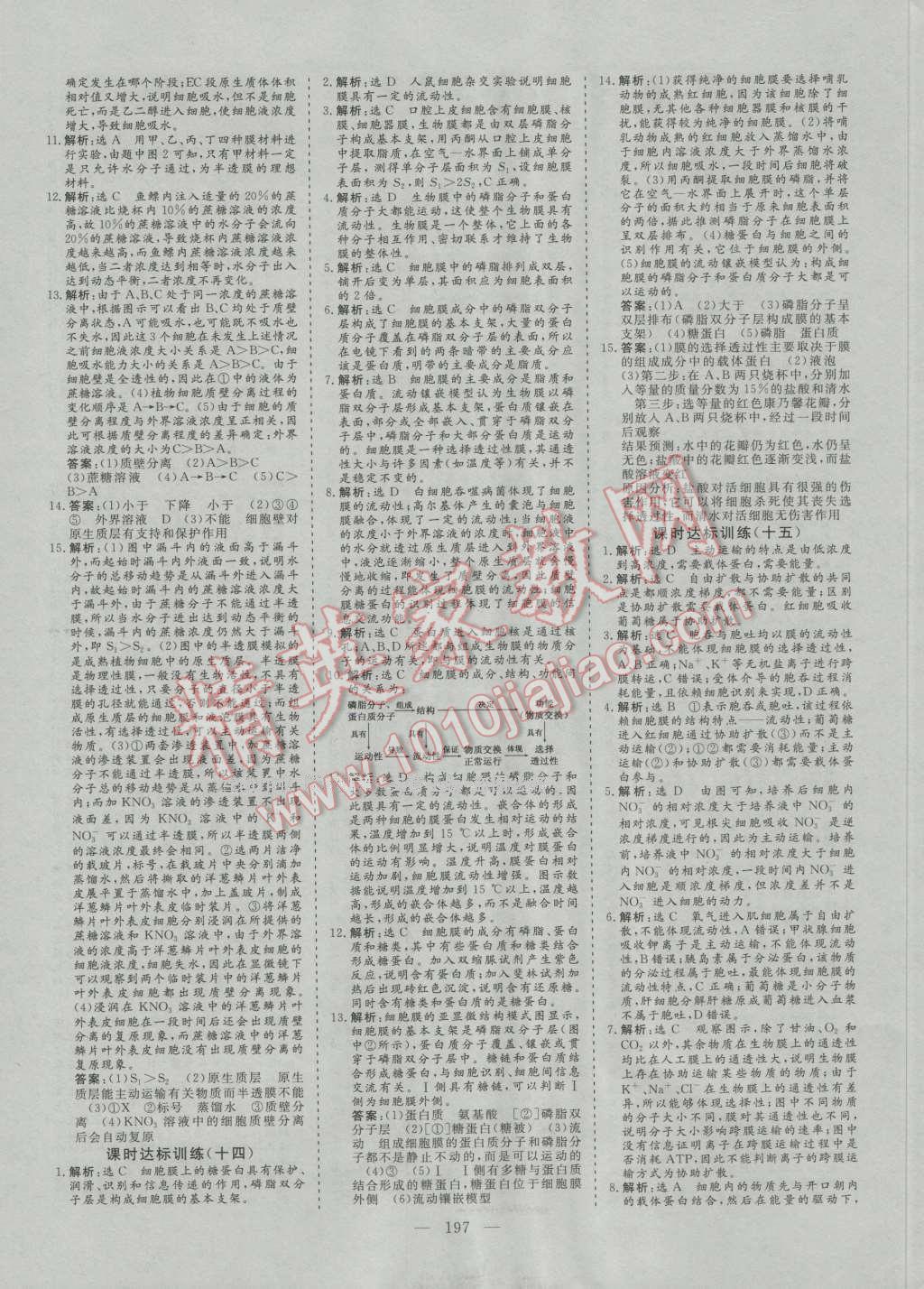 創(chuàng)新方案高中同步創(chuàng)新課堂高中生物必修1人教版 參考答案第19頁