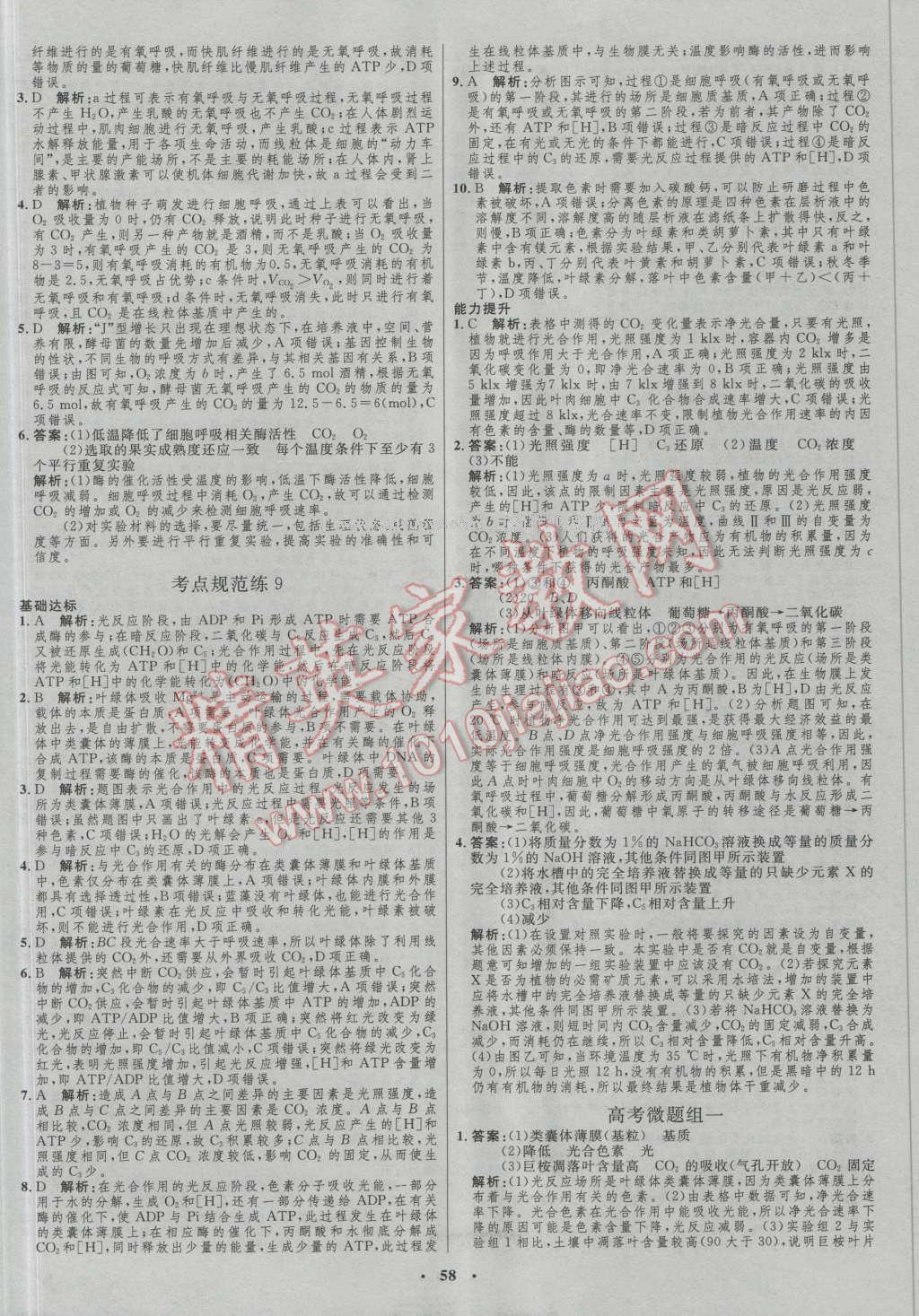 2017年高中總復(fù)習優(yōu)化設(shè)計生物人教版 參考答案第38頁