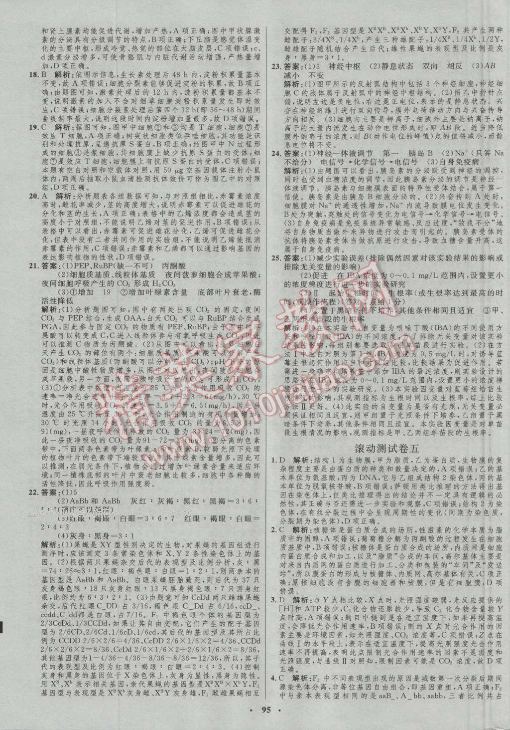 2017年高中總復習優(yōu)化設(shè)計生物人教版 參考答案第75頁