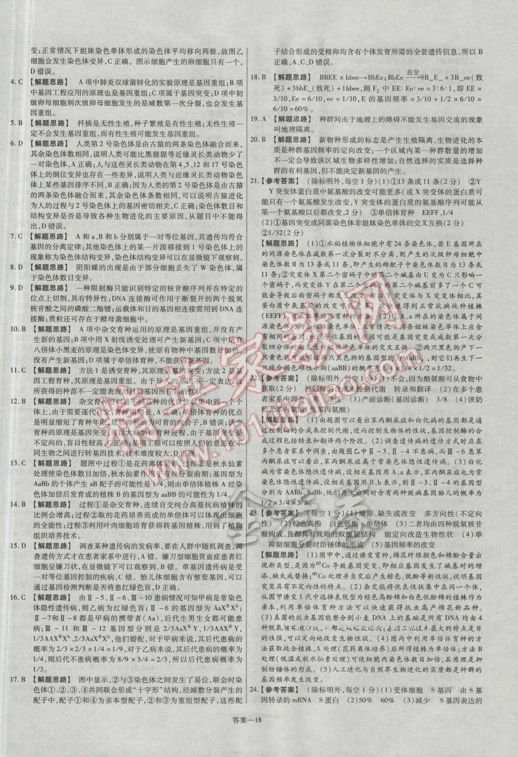 金考卷活頁題選高中生物必修2人教版 參考答案第18頁