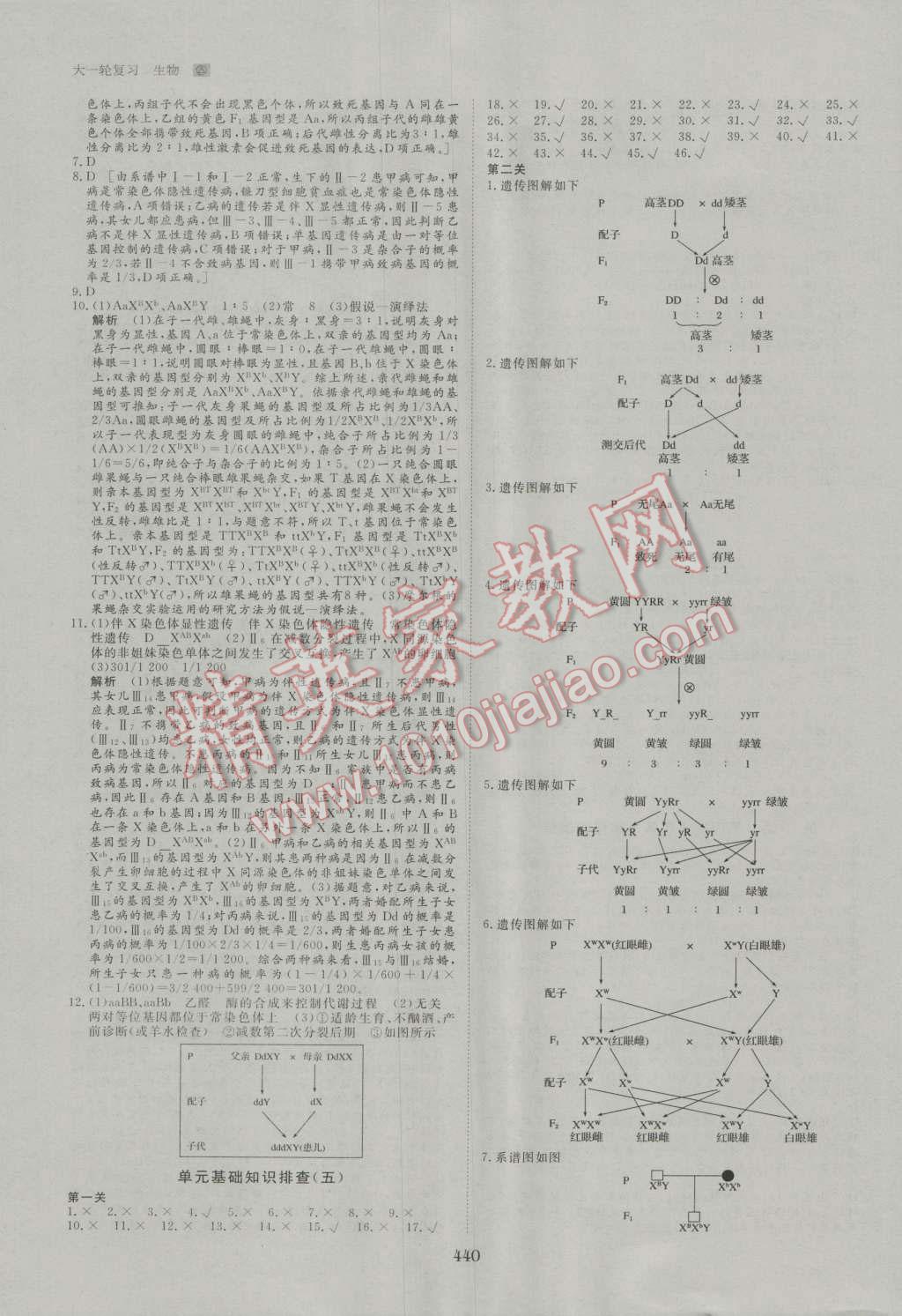 2017年步步高大一輪復(fù)習(xí)講義生物 第51頁