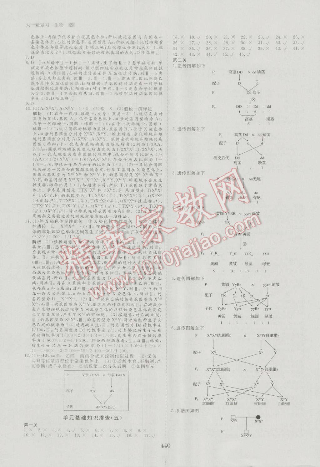 2017年步步高大一輪復習講義生物 第114頁