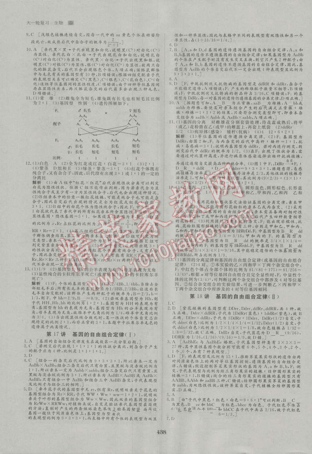 2017年步步高大一輪復(fù)習(xí)講義生物 第49頁