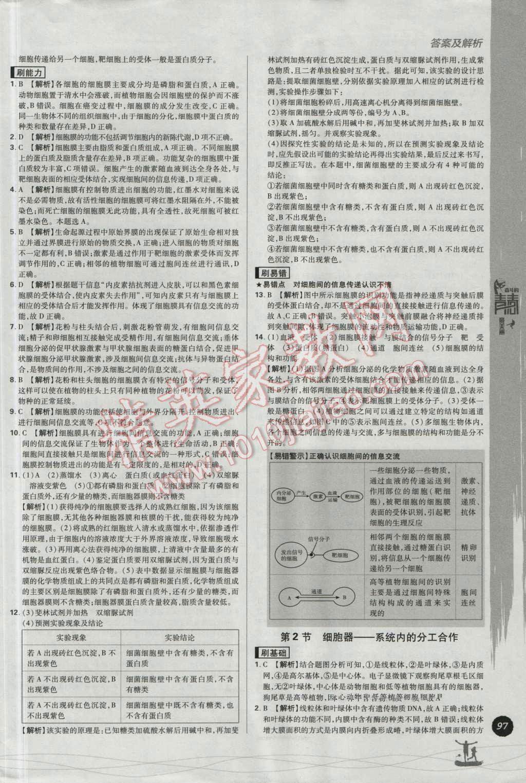 高中必刷題生物必修1人教版 參考答案第11頁