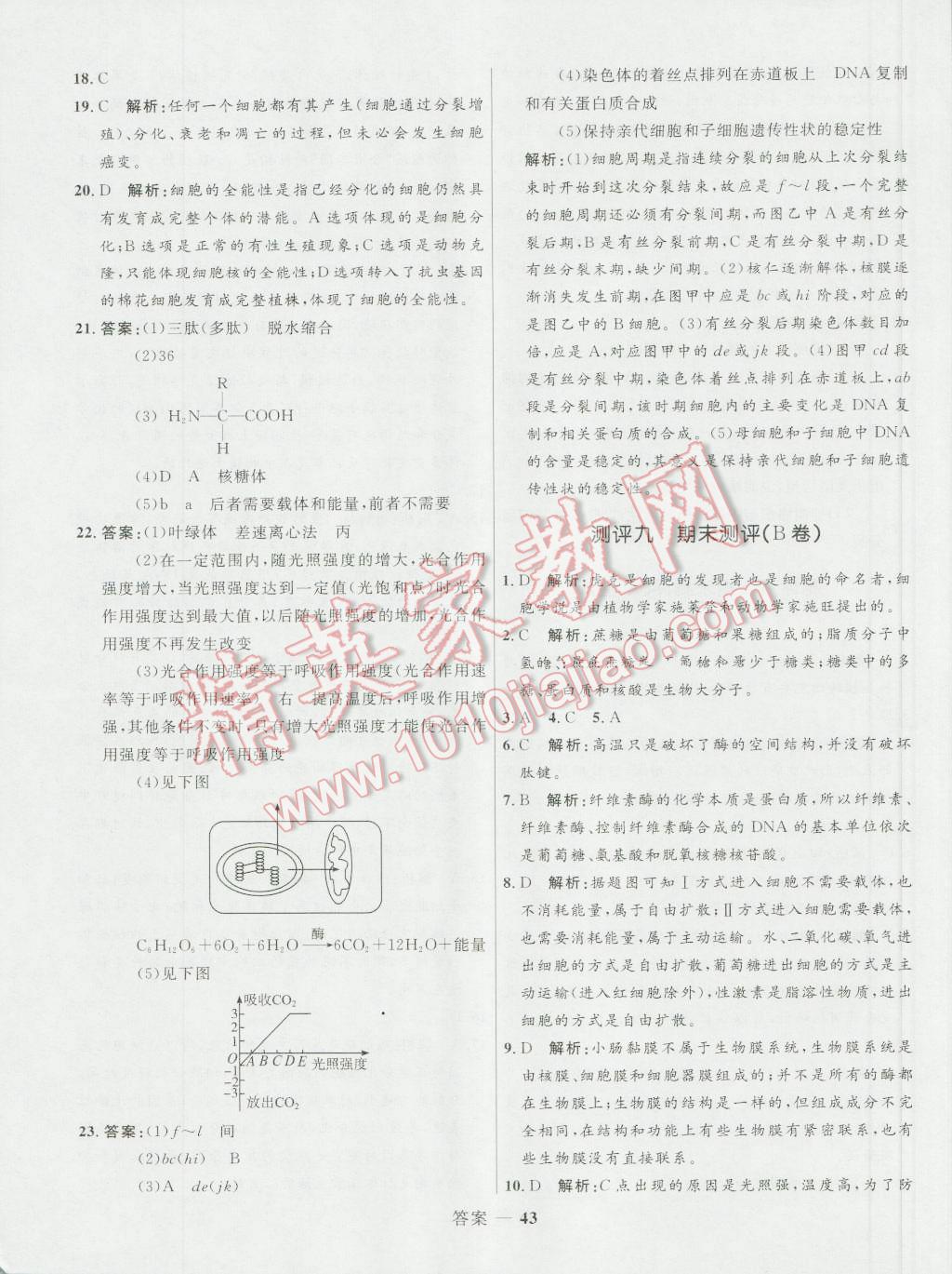 高中同步測控優(yōu)化訓(xùn)練生物必修1人教版 參考答案第43頁