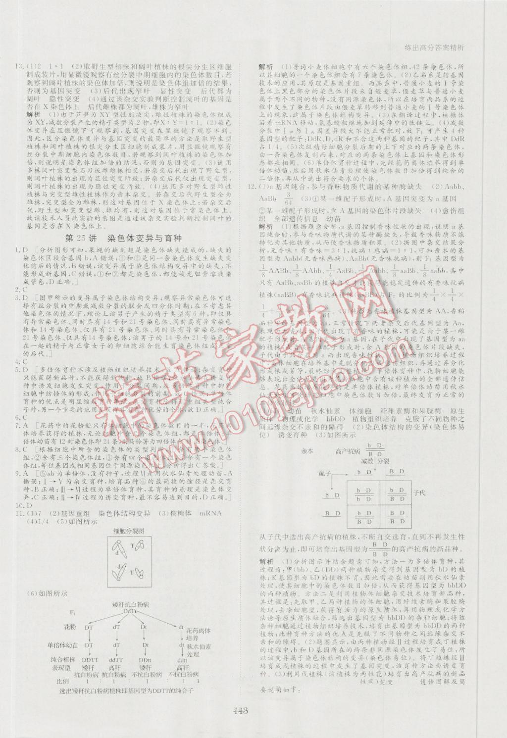 2017年步步高大一輪復(fù)習(xí)講義生物 第54頁