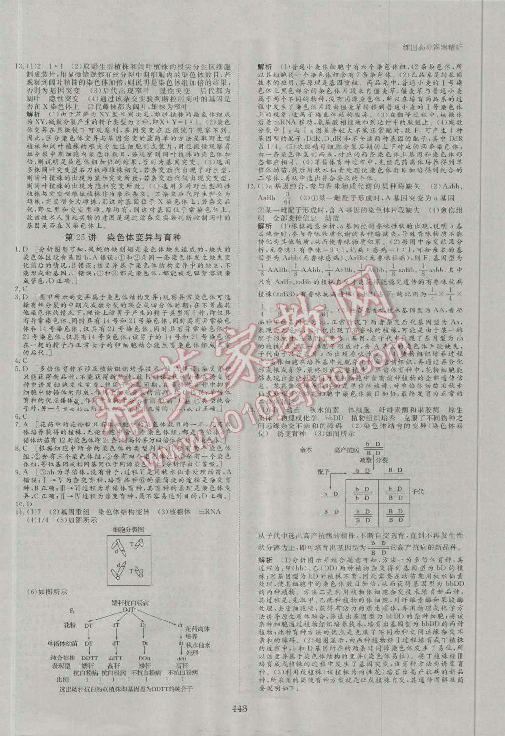 2017年步步高大一輪復(fù)習(xí)講義生物 第117頁