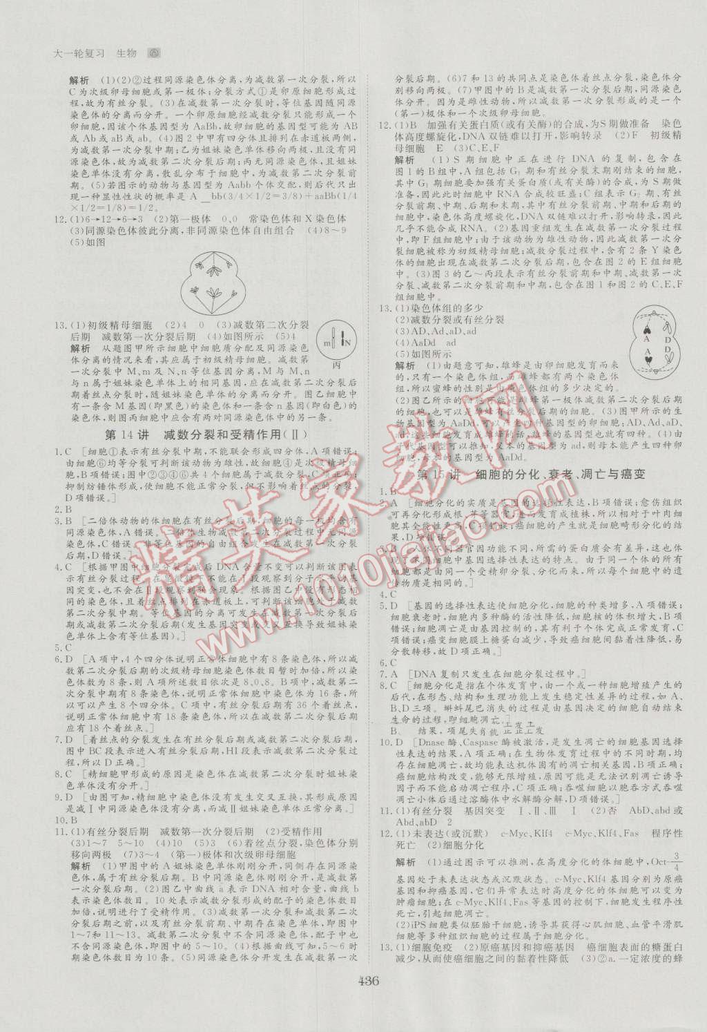 2017年步步高大一輪復(fù)習(xí)講義生物 第110頁(yè)