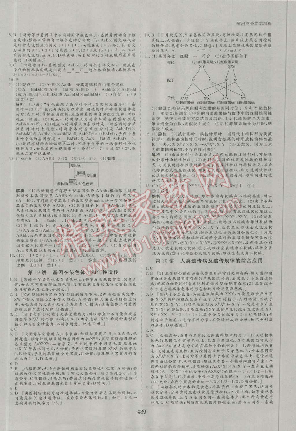 2017年步步高大一輪復(fù)習(xí)講義生物 第113頁