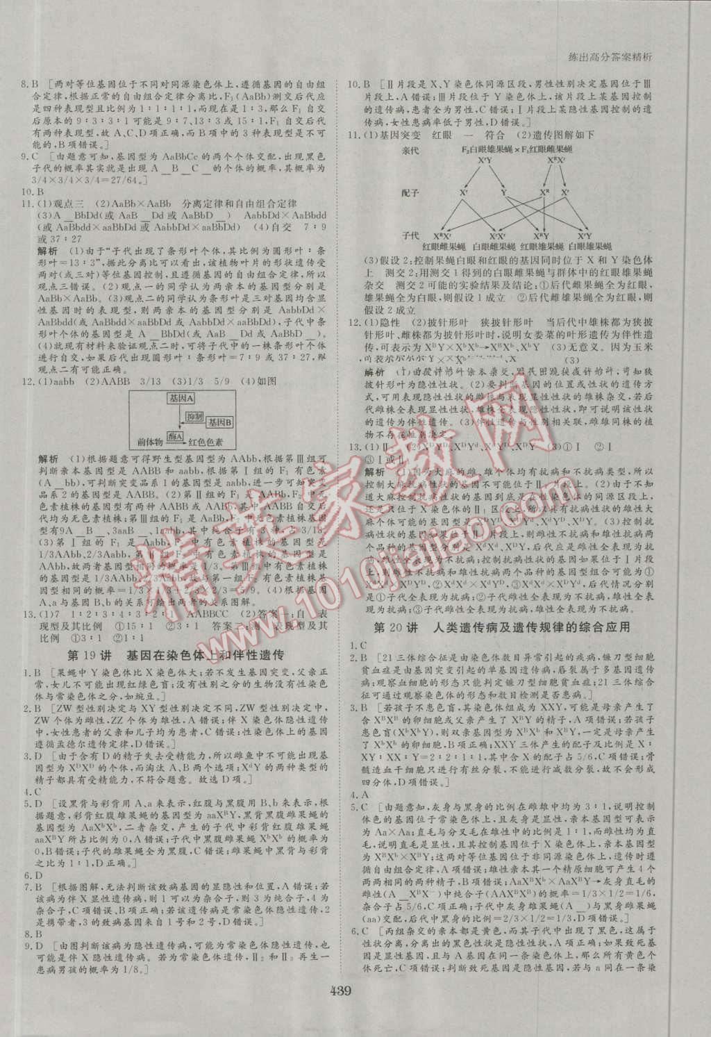 2017年步步高大一輪復(fù)習(xí)講義生物 第50頁