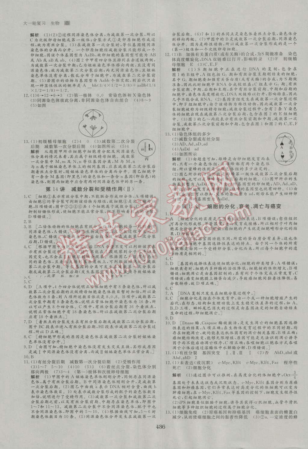 2017年步步高大一輪復(fù)習(xí)講義生物 第47頁