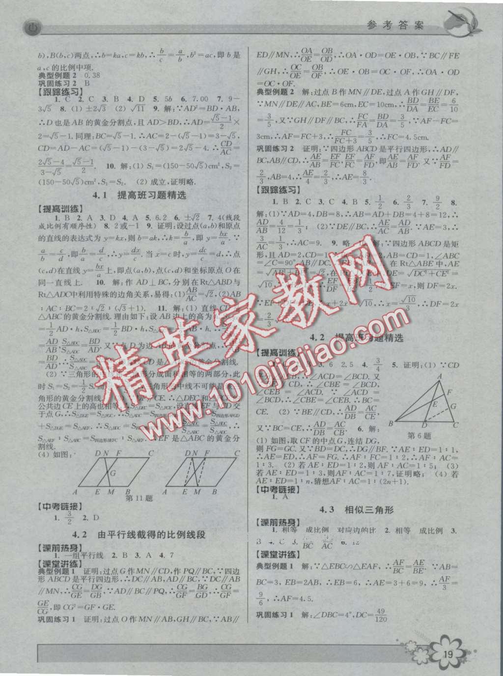 2016年初中新學案優(yōu)化與提高九年級數(shù)學 第19頁