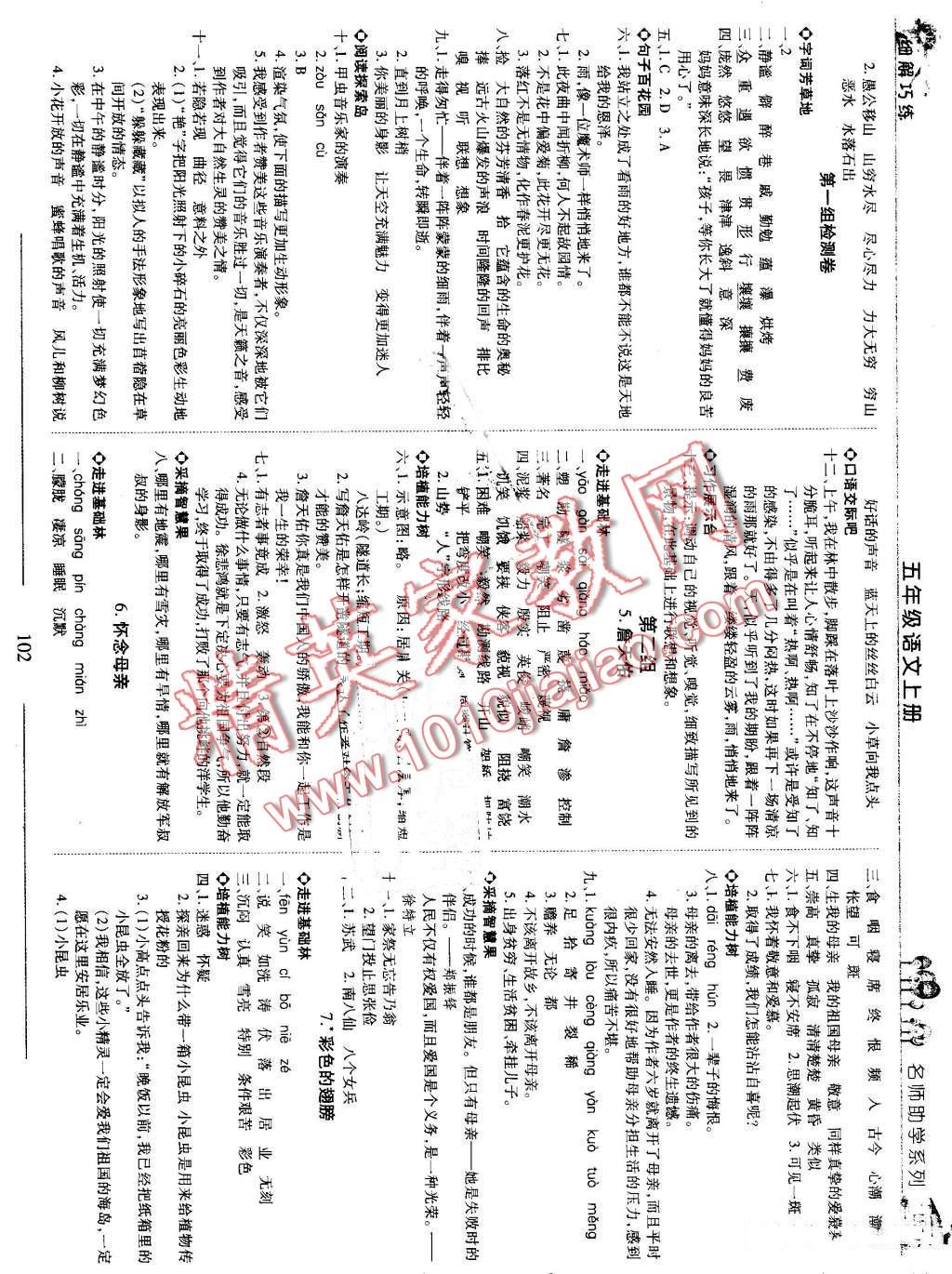 2016年细解巧练五年级语文上册五四制 第2页