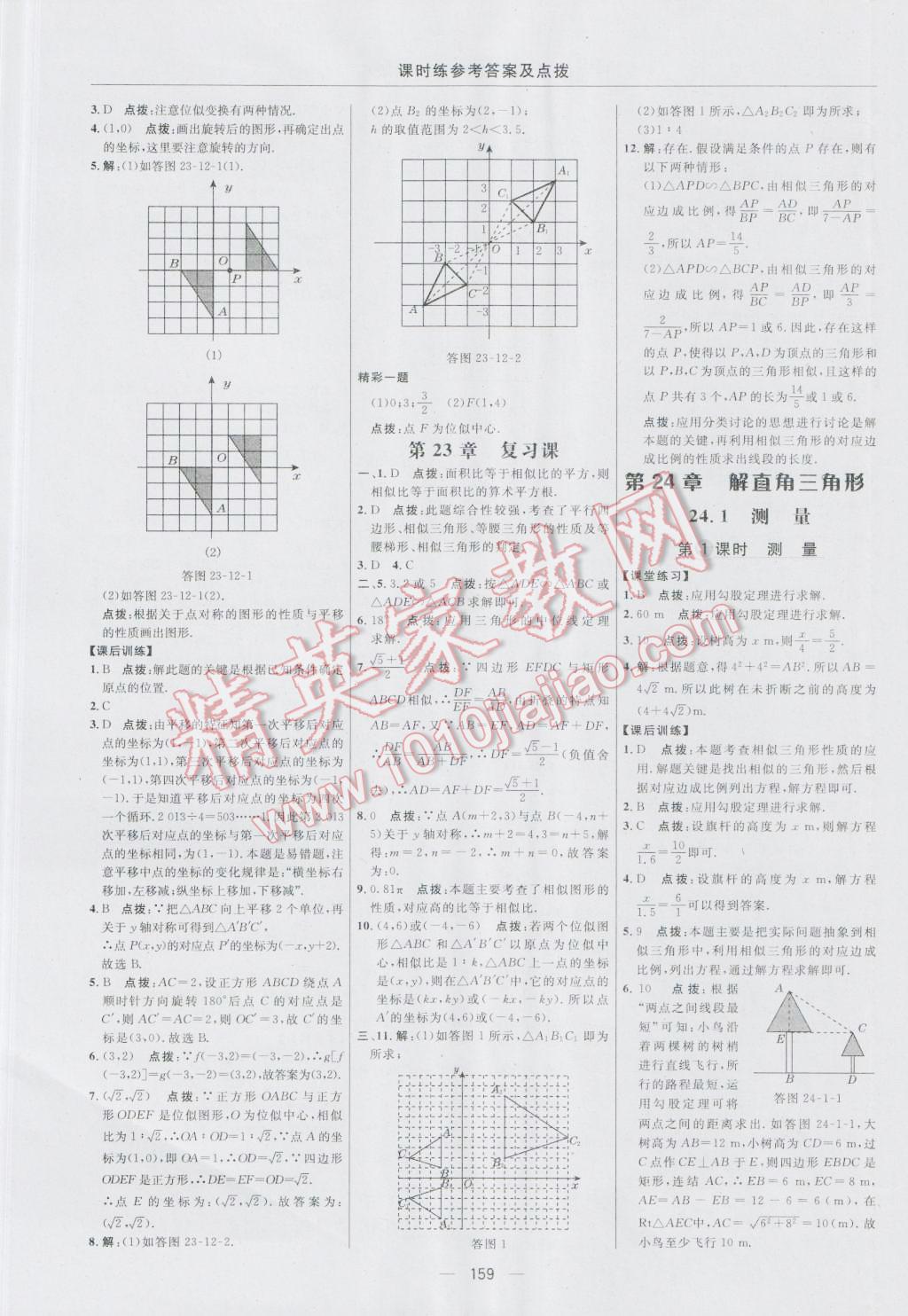 2016年点拨训练九年级数学上册华师大版 参考答案第29页