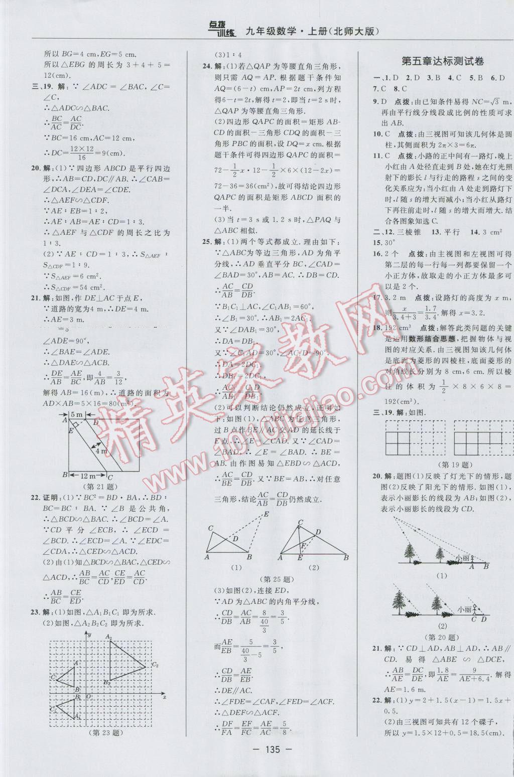 2016年点拨训练九年级数学上册北师大版 参考答案第5页